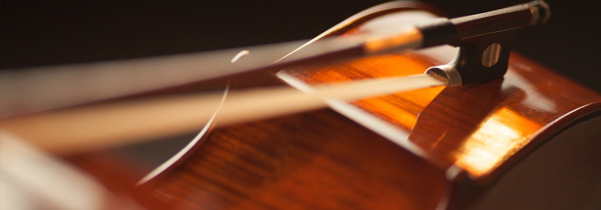 close up of viola instrument